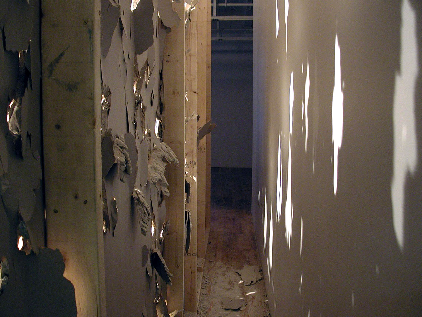 In the Full Light of Reason — installation detail