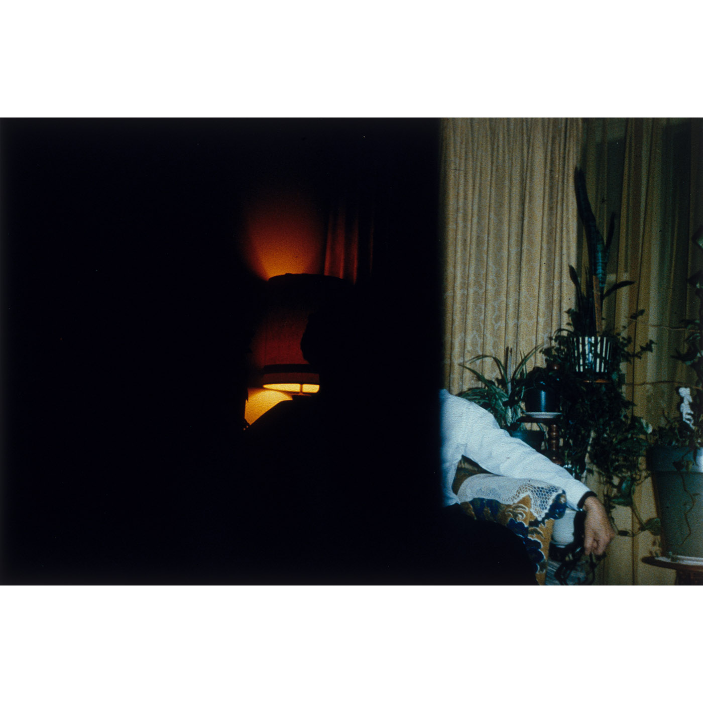 A Catalogue of Errors — image 5